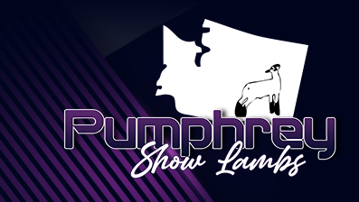 Pumphrey Show Lambs